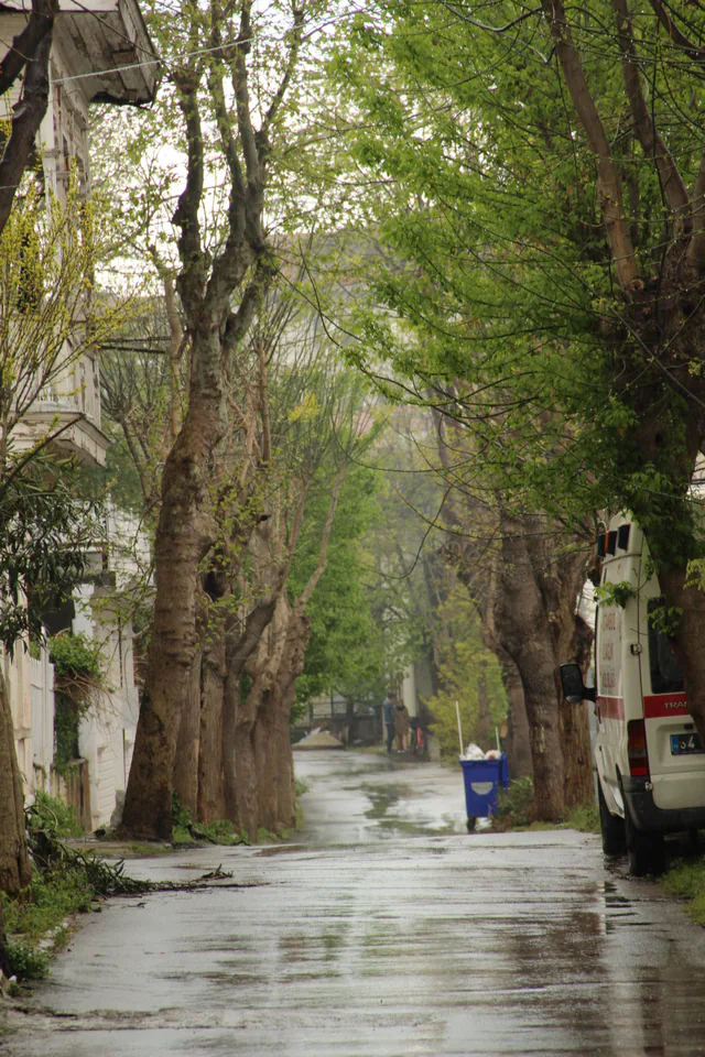 A residential street on Büyükada after rain.